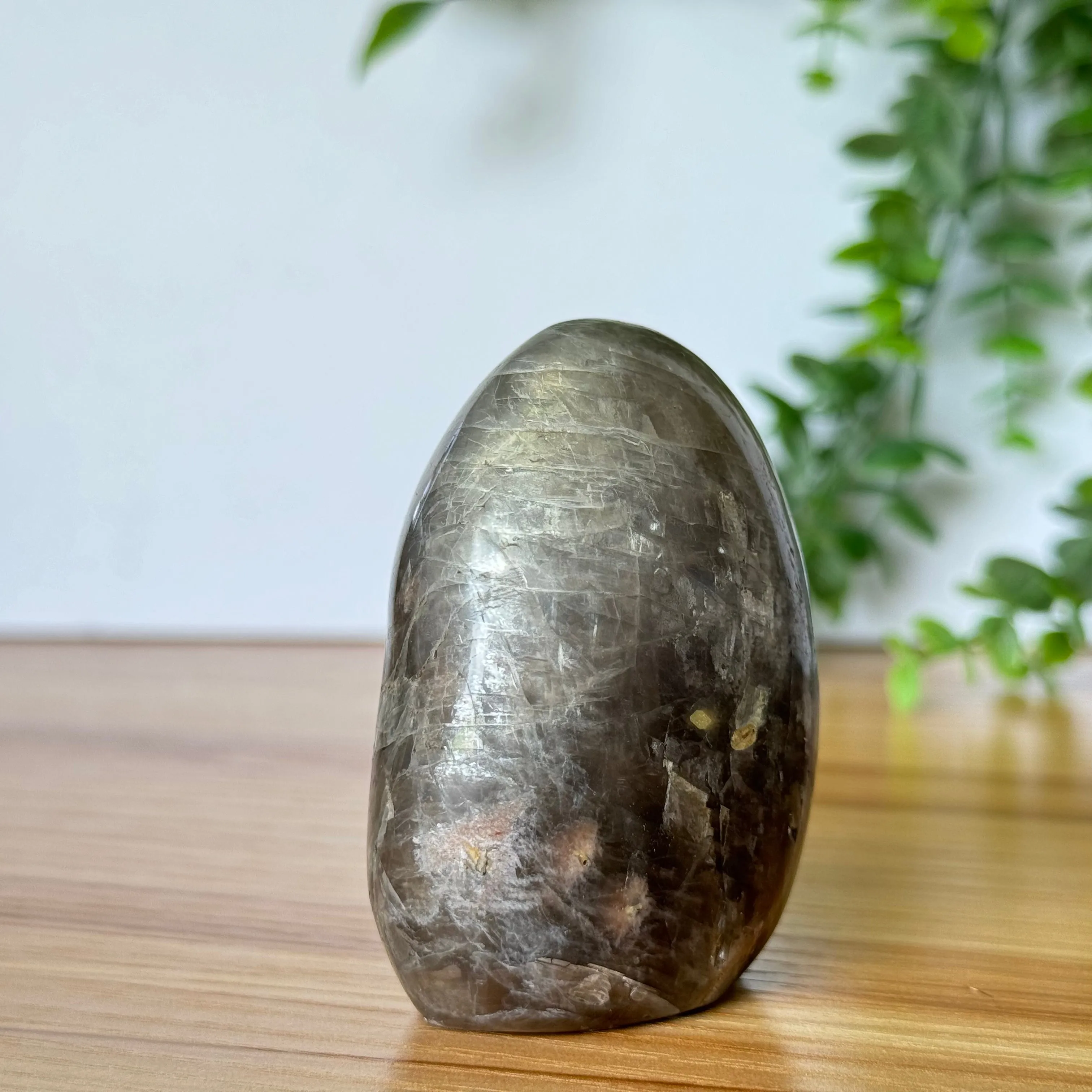 Black Moonstone Free Form