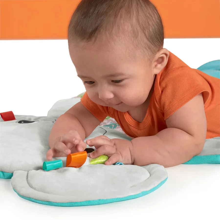 Bright Starts Hug n Cuddle Activity Gym