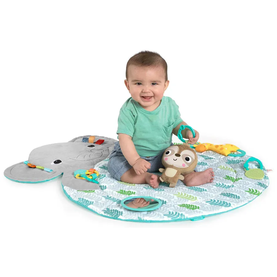 Bright Starts Hug n Cuddle Activity Gym