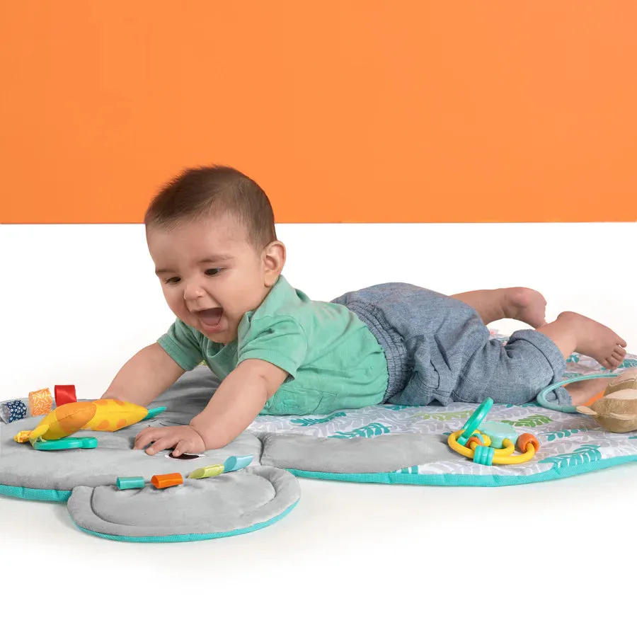 Bright Starts Hug n Cuddle Activity Gym
