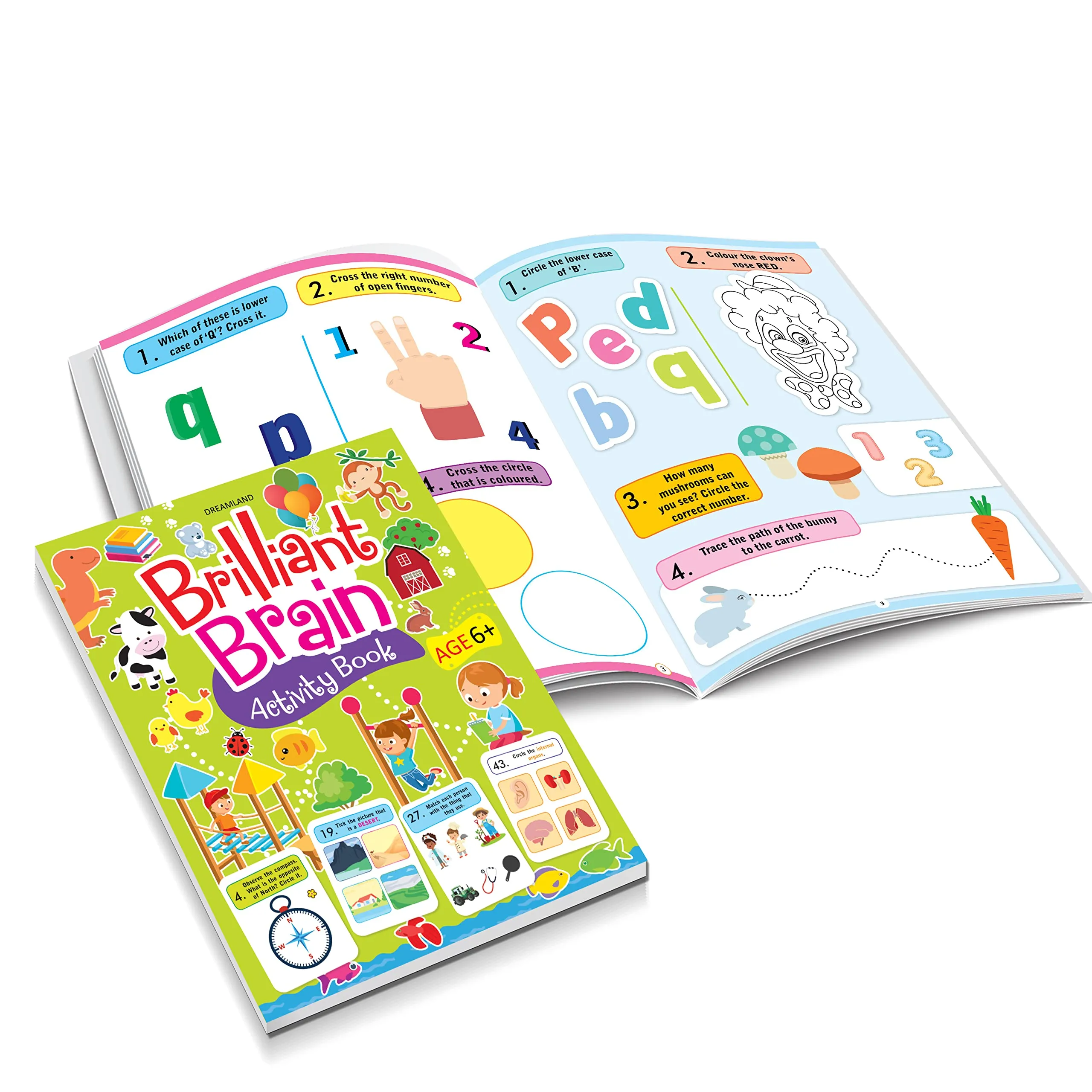 Brilliant Brain Activity Books (Pack of 5)