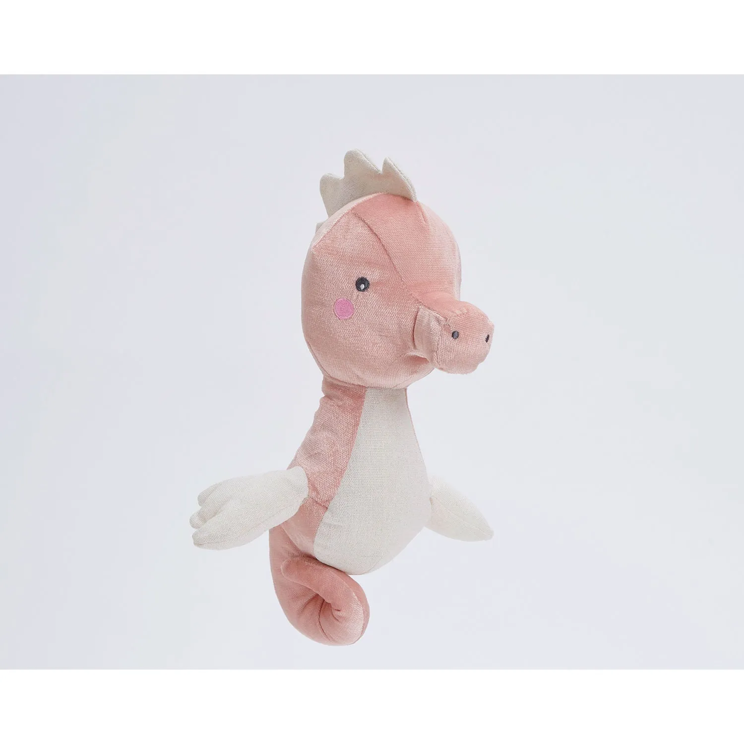 Bubble Luna the Seahorse