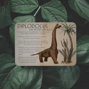 Diplodocus Dino Fact Tile