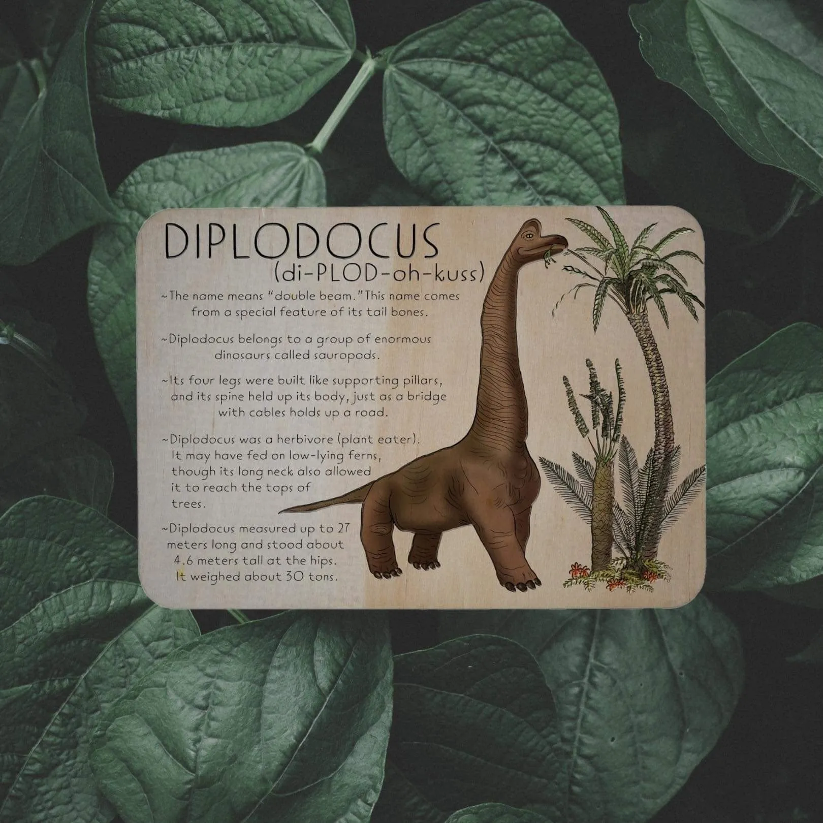 Diplodocus Dino Fact Tile
