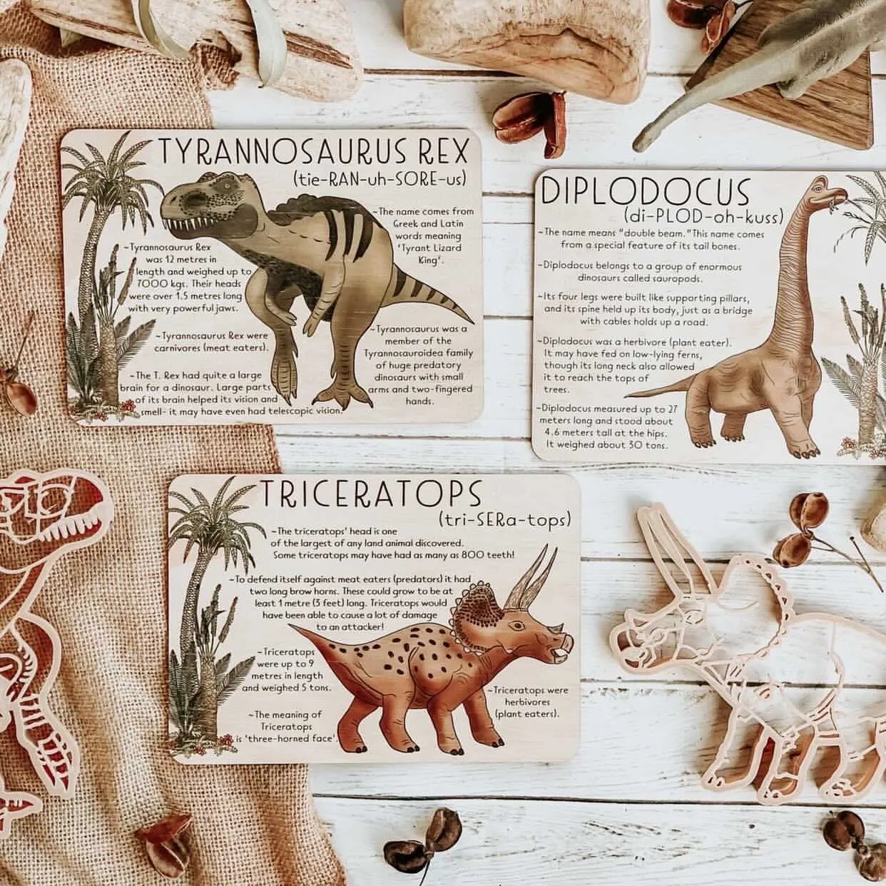 Diplodocus Dino Fact Tile
