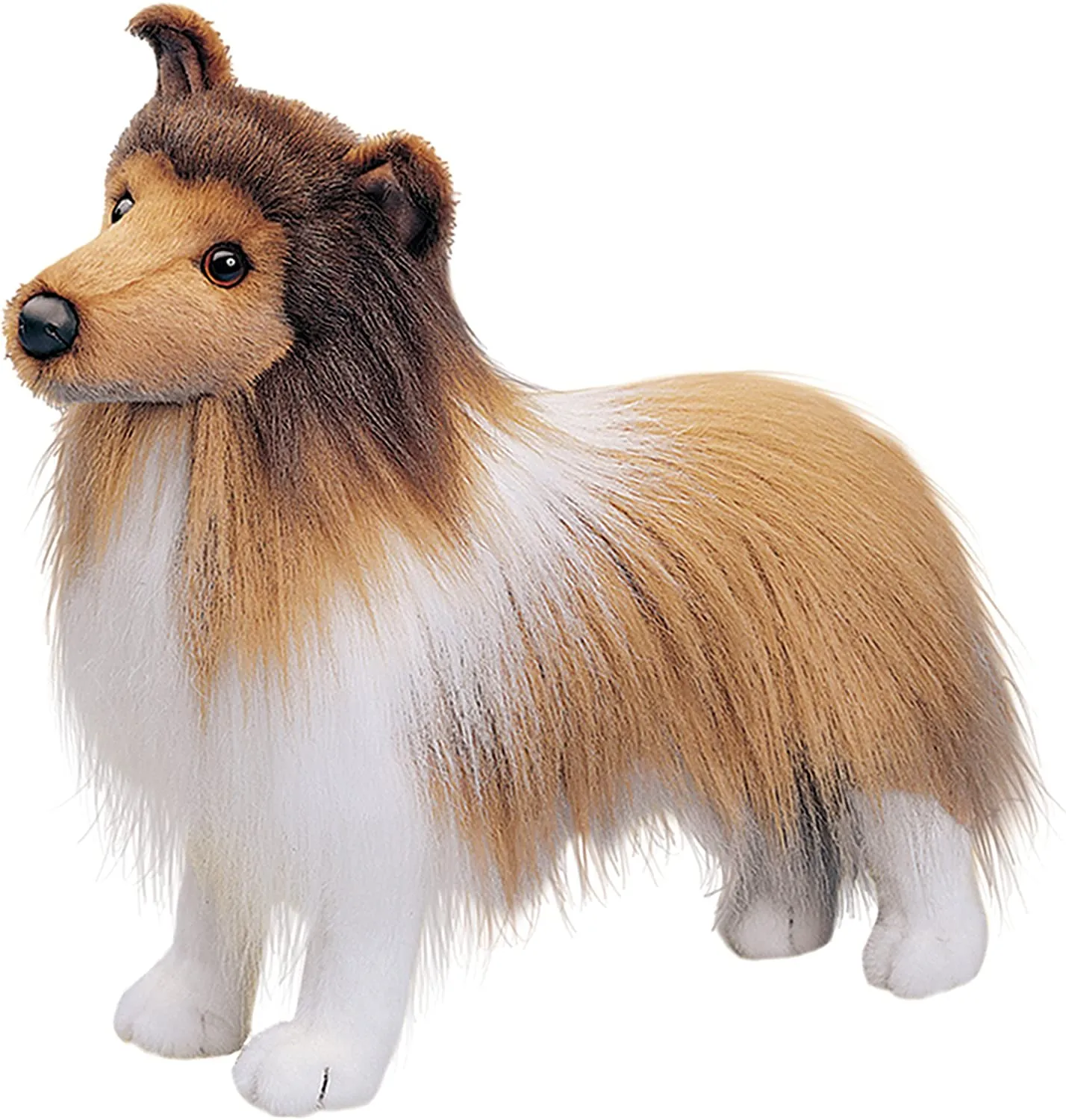 Dixie Sheltie