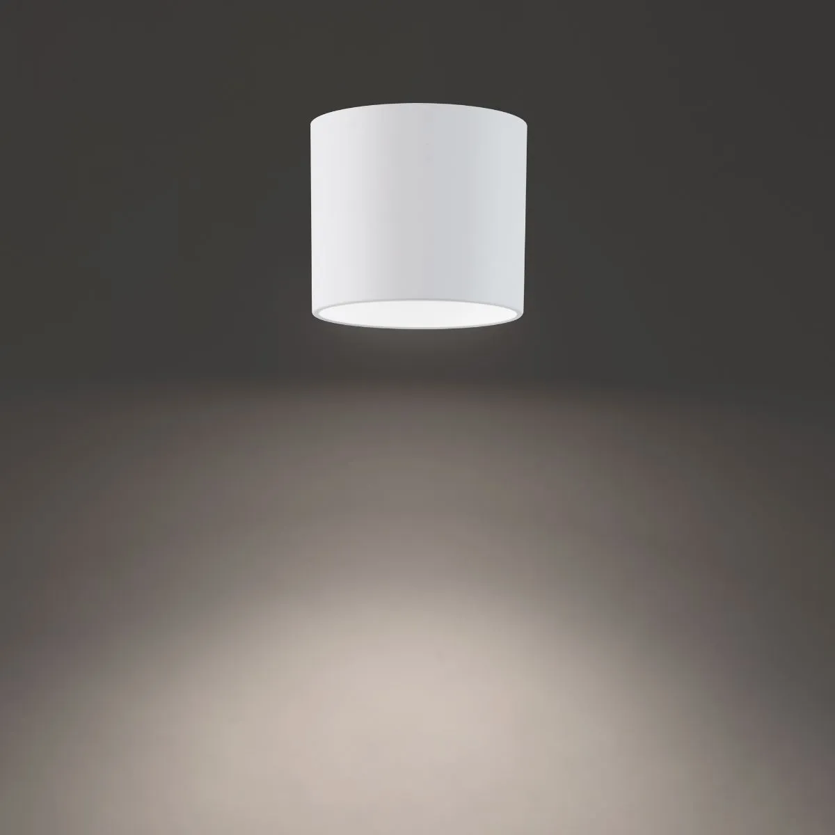 DOWNTOWN 5 in. Round LED Outdoor Flush Mount 4000K White finish