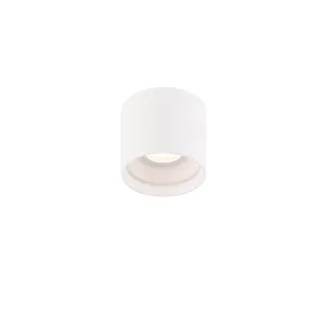 DOWNTOWN 5 in. Round LED Outdoor Flush Mount 4000K White finish