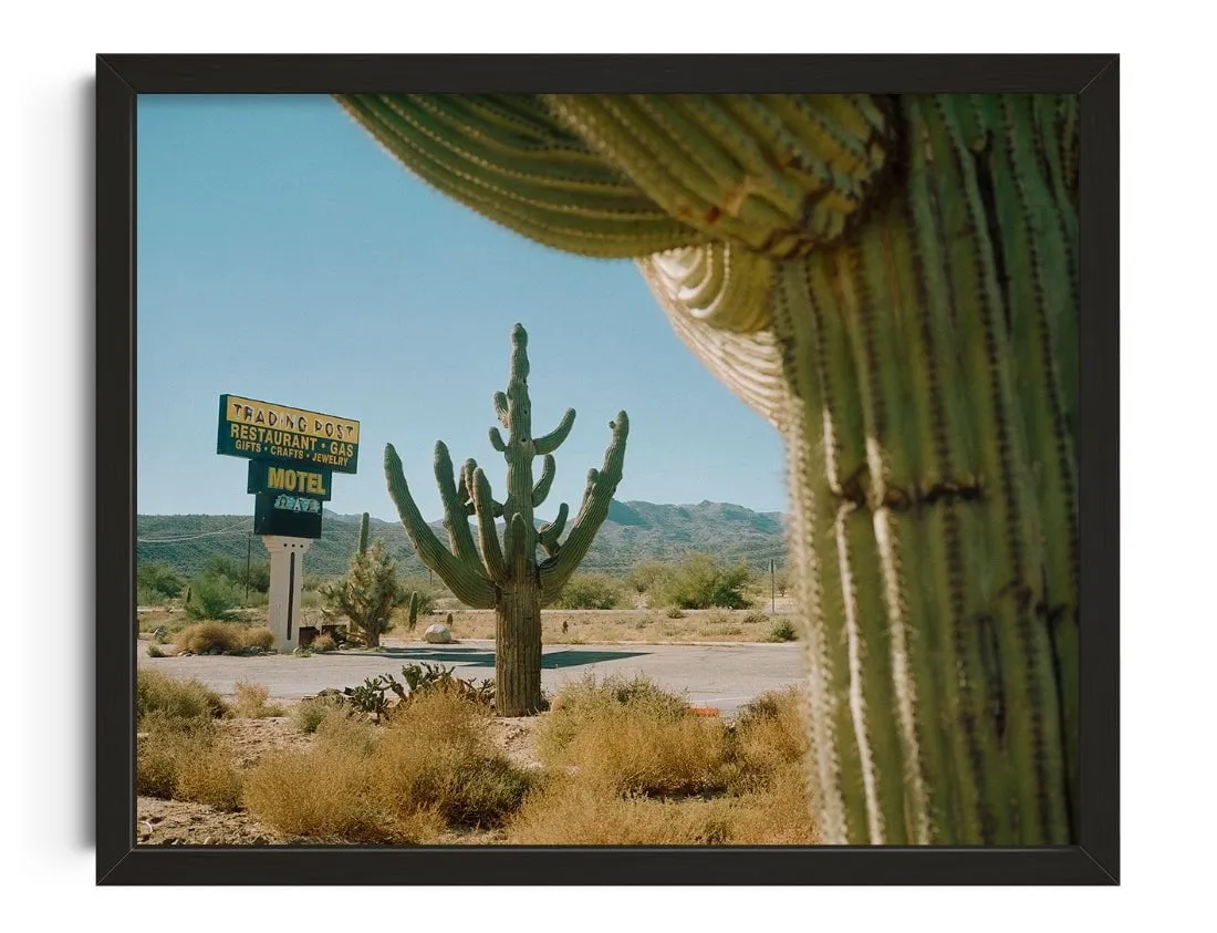 Framing Saguaros