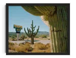Framing Saguaros