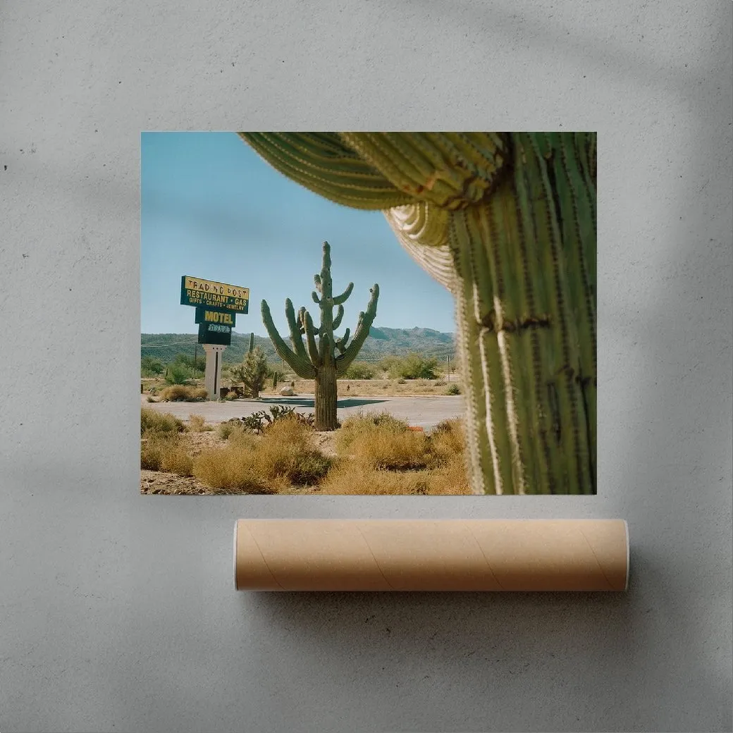 Framing Saguaros