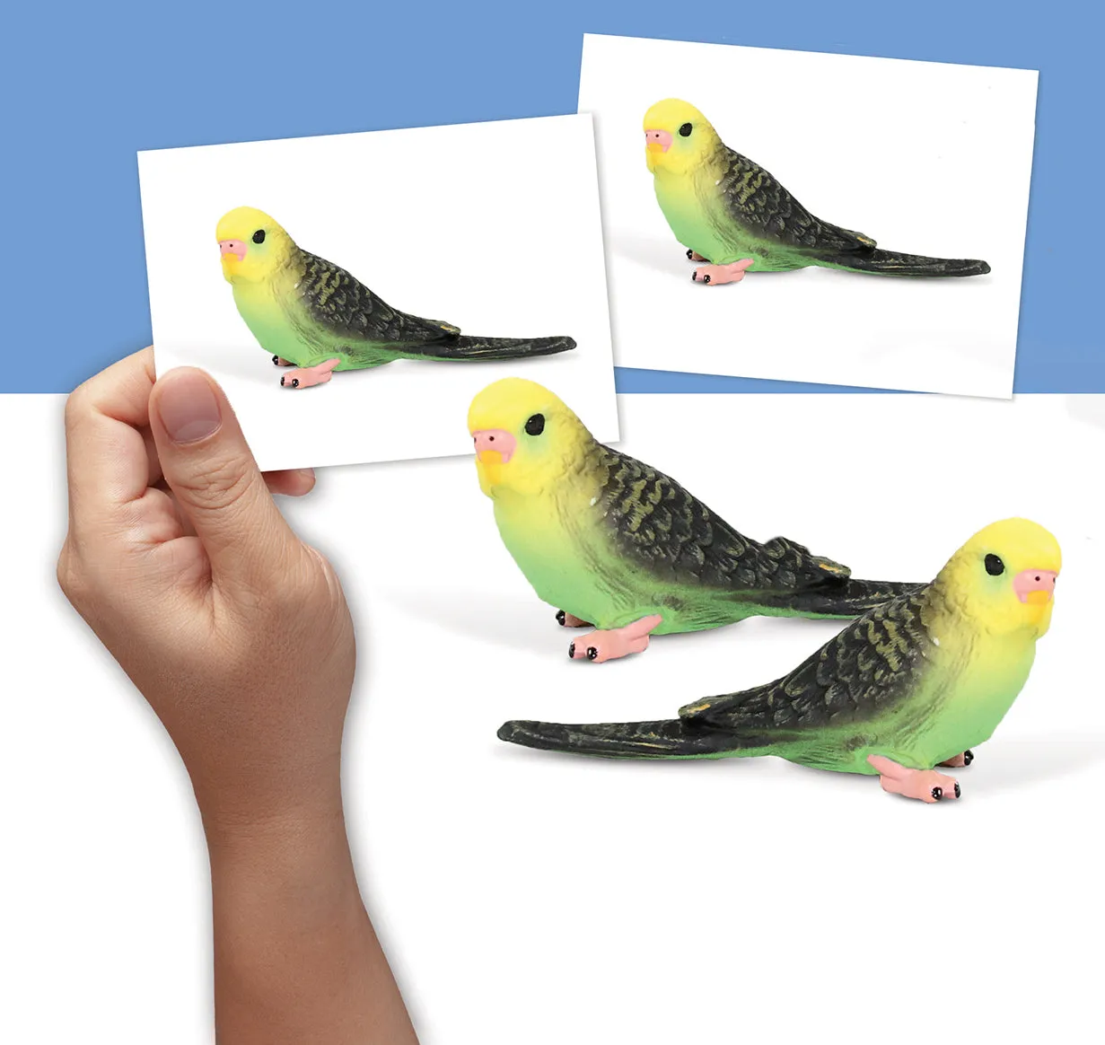 Language Builder 3D - 2D Animal Matching Kit