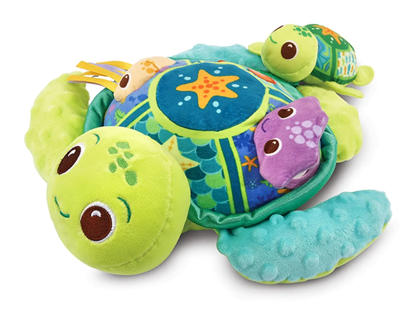 Soft Discovery Turtle
