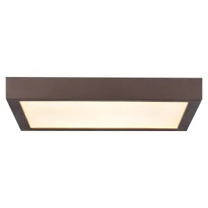 Ulko Exterior (large) LED Outdoor Flush Mount