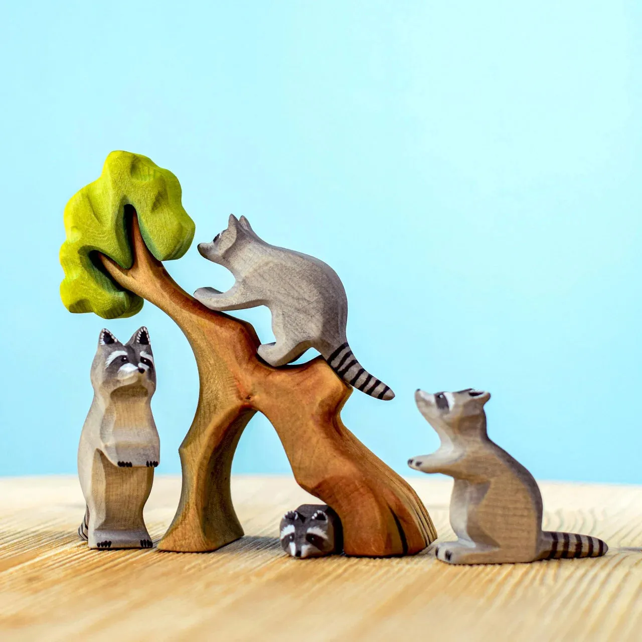 Wooden Raccoon - Curious