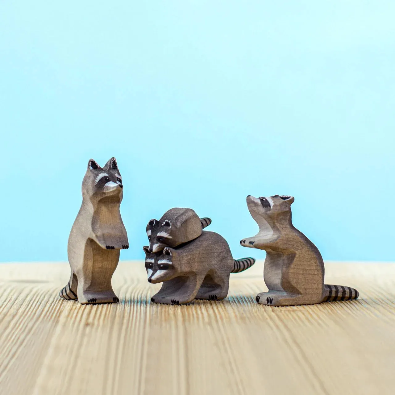 Wooden Raccoon - Curious