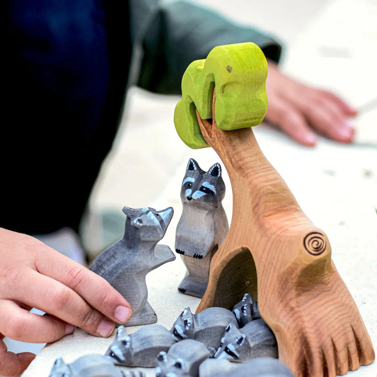 Wooden Raccoon - Curious